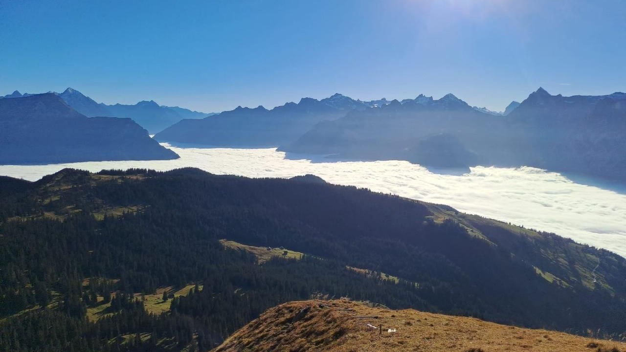 Photo of Others in Altdorf