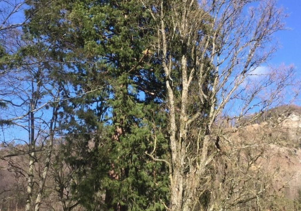 Photo of Others in Langenbruck
