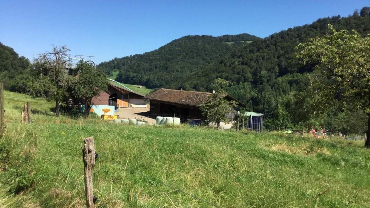Photo of Others in Langenbruck