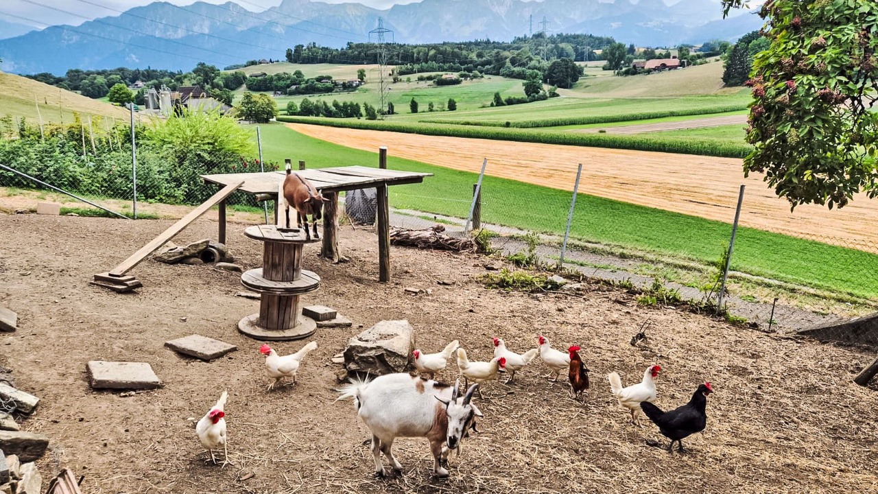 Photo of Others in Kienersruti