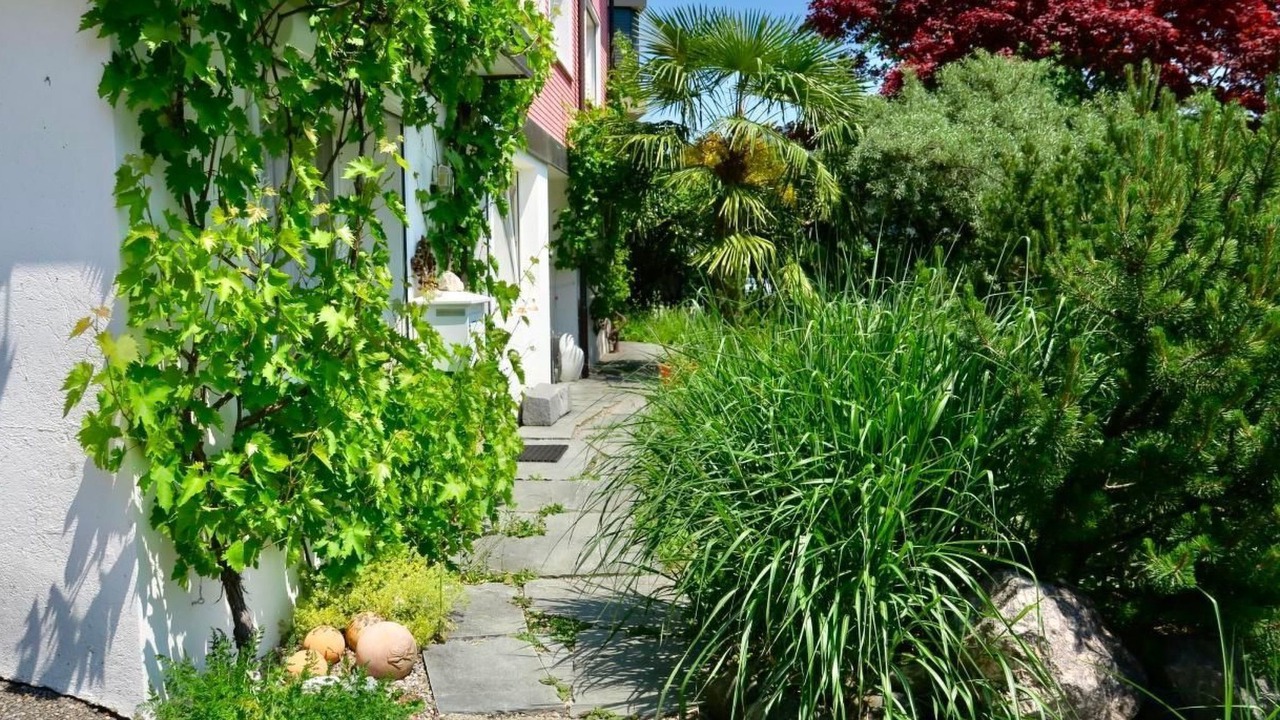 Photo of Outdoor in Wald