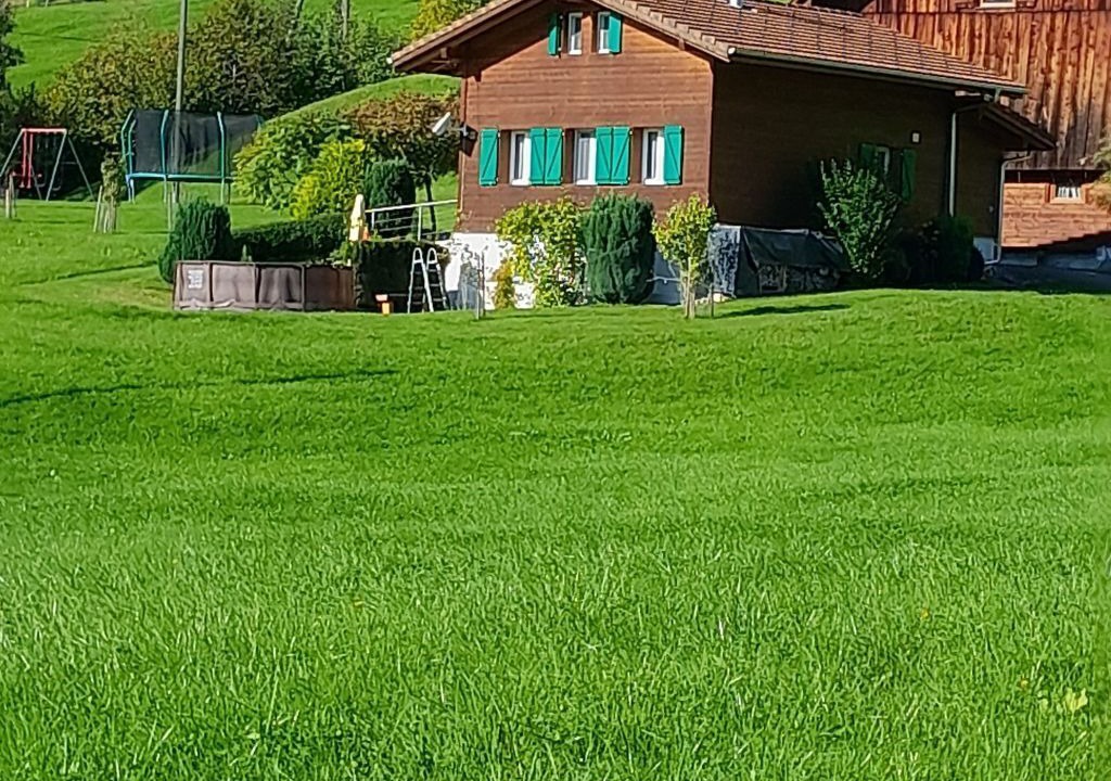 Photo of Others in Giswil