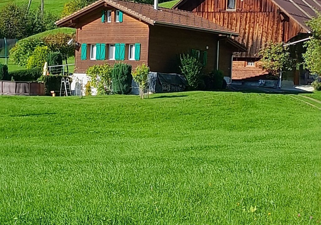 Photo of Others in Giswil