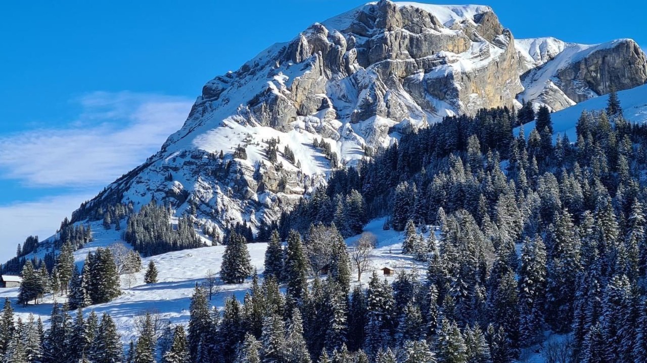 Photo of Others in Axalp