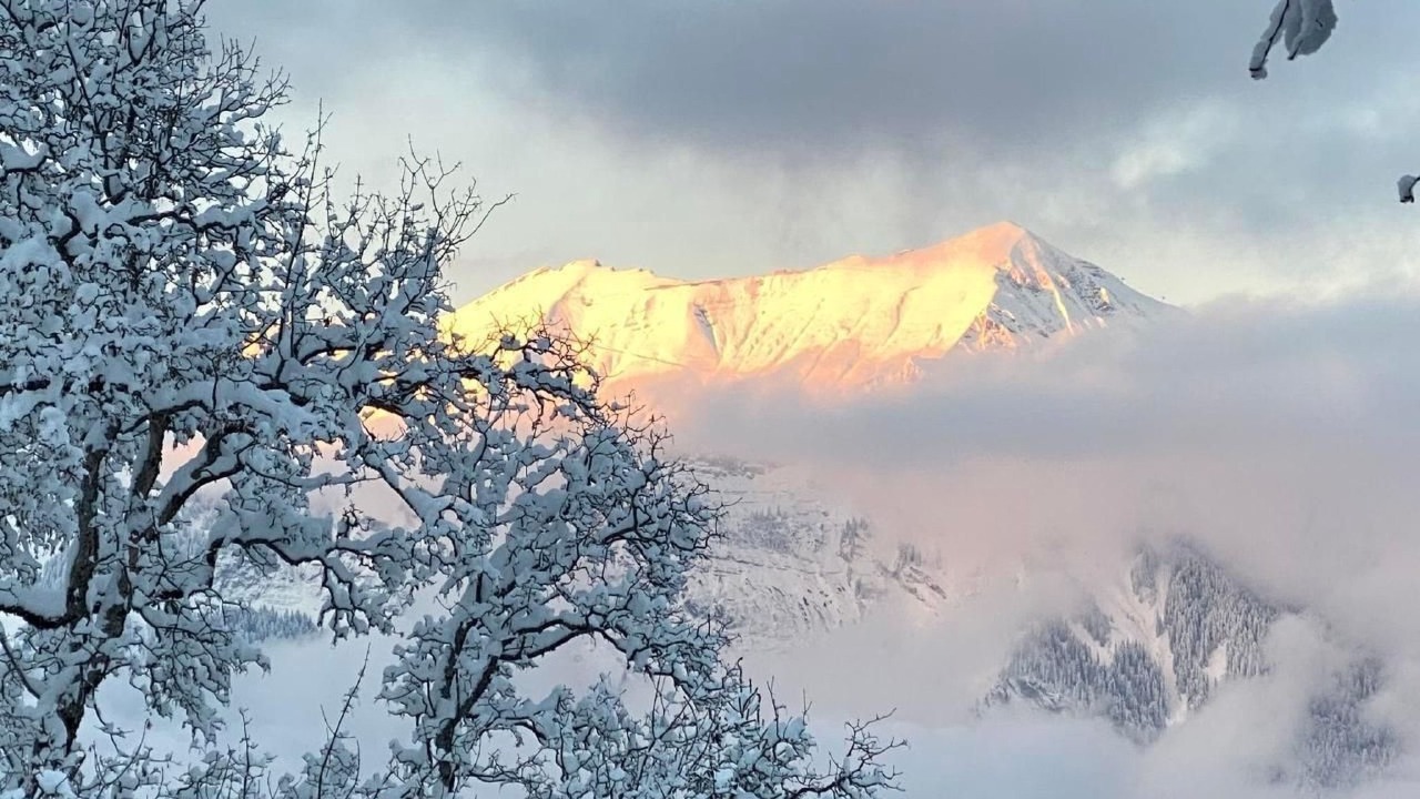 Photo of Others in Axalp