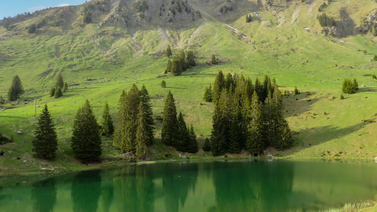 Photo of Others in Ormont-Dessus