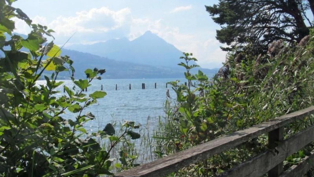 Photo of Others in Wilderswil