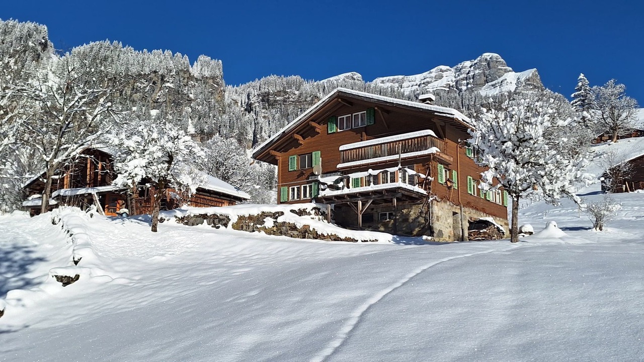 Photo of Others in Braunwald