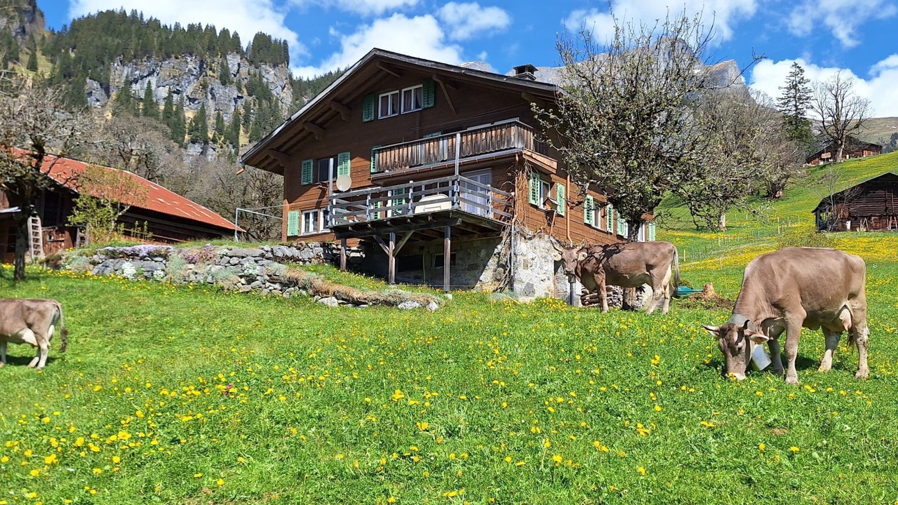 Photo of Others in Braunwald