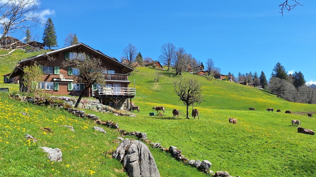 Photo of Others in Braunwald
