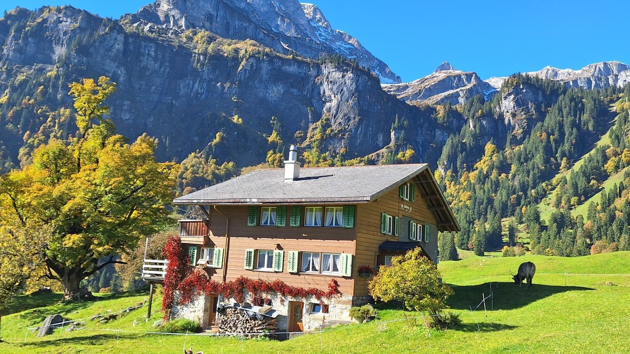 Photo of Others in Braunwald