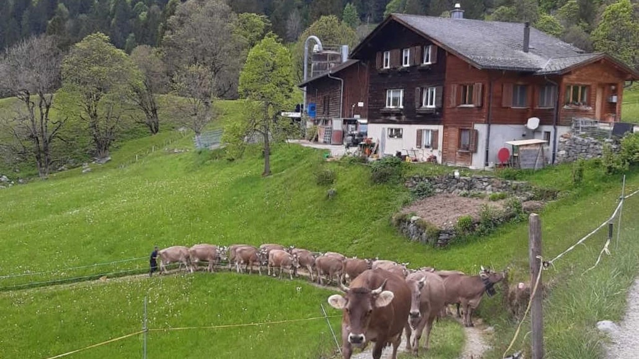Photo of Others in Braunwald