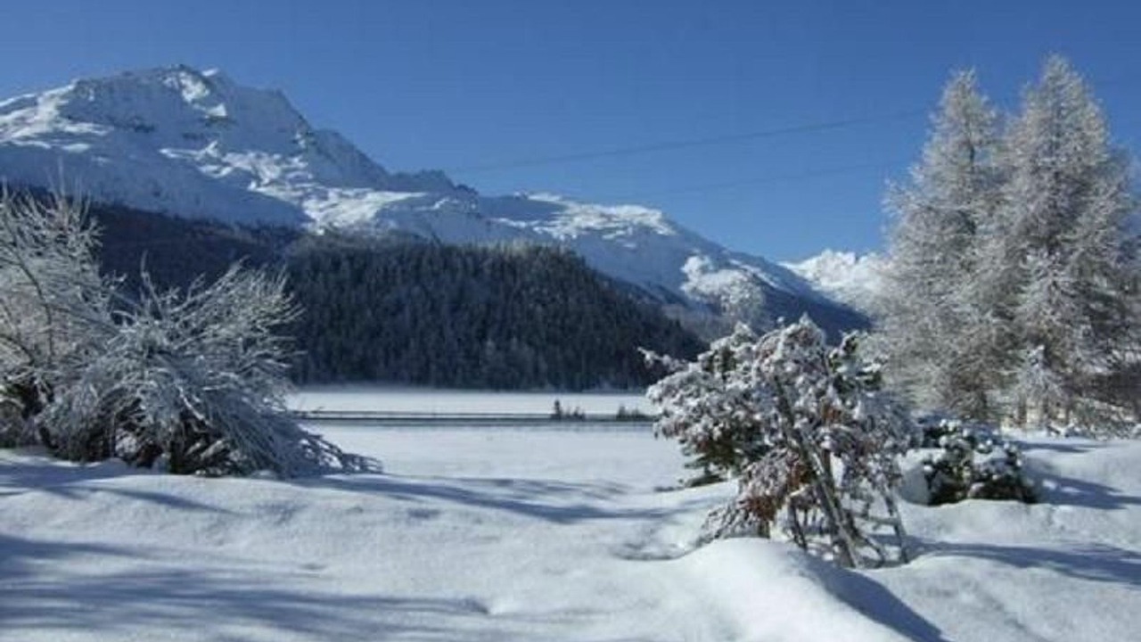 Photo of Others in Champfer