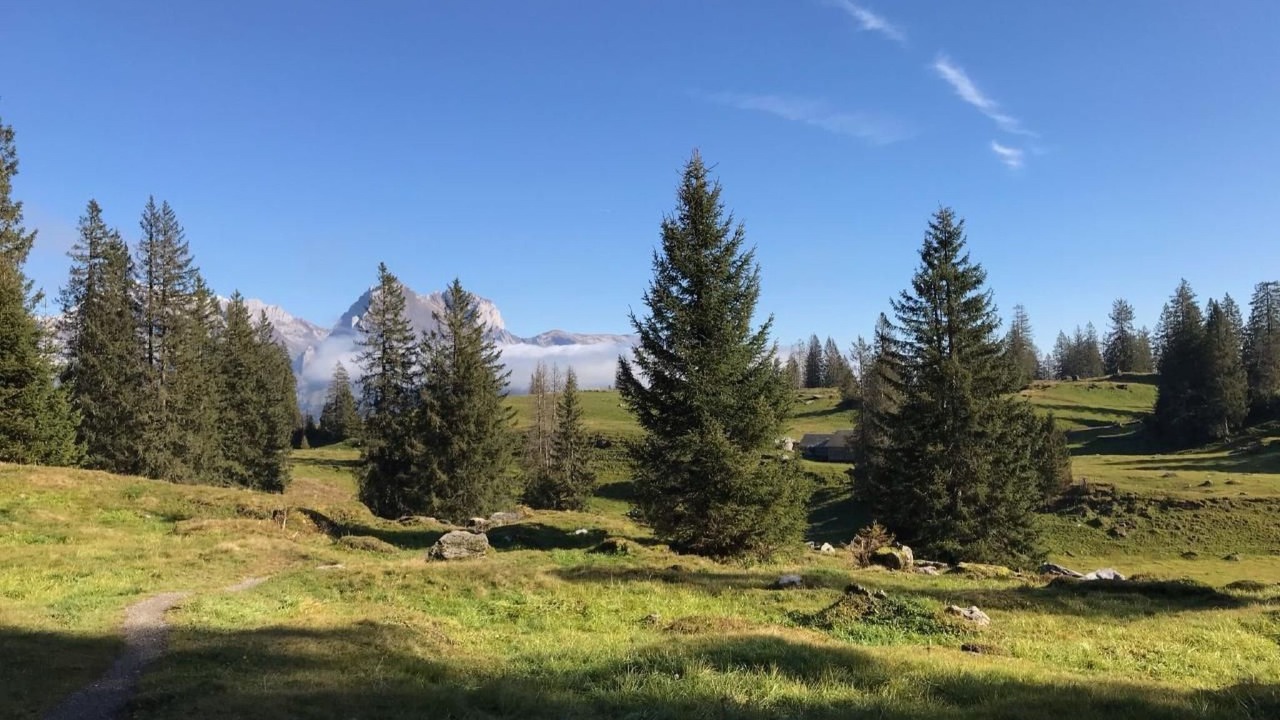 Photo of Others in Ebnat-Kappel