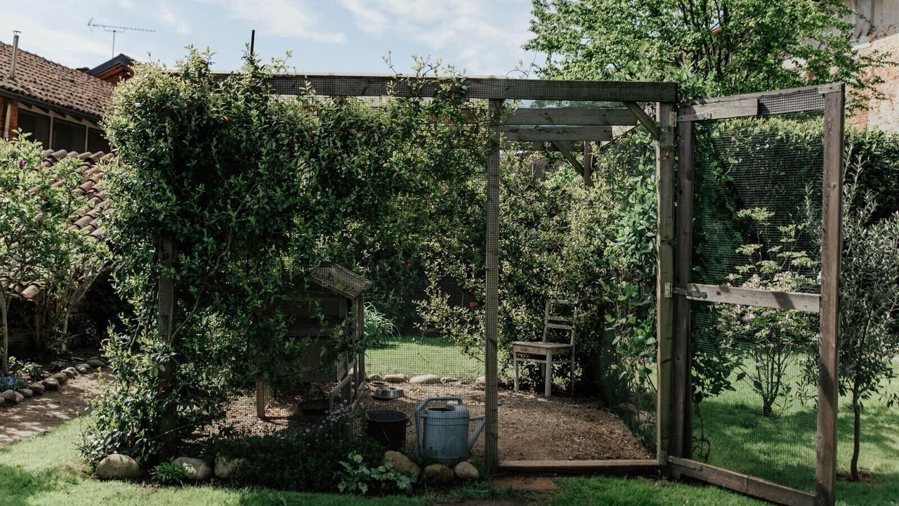 Photo of Outdoor in Bellinzago Novarese