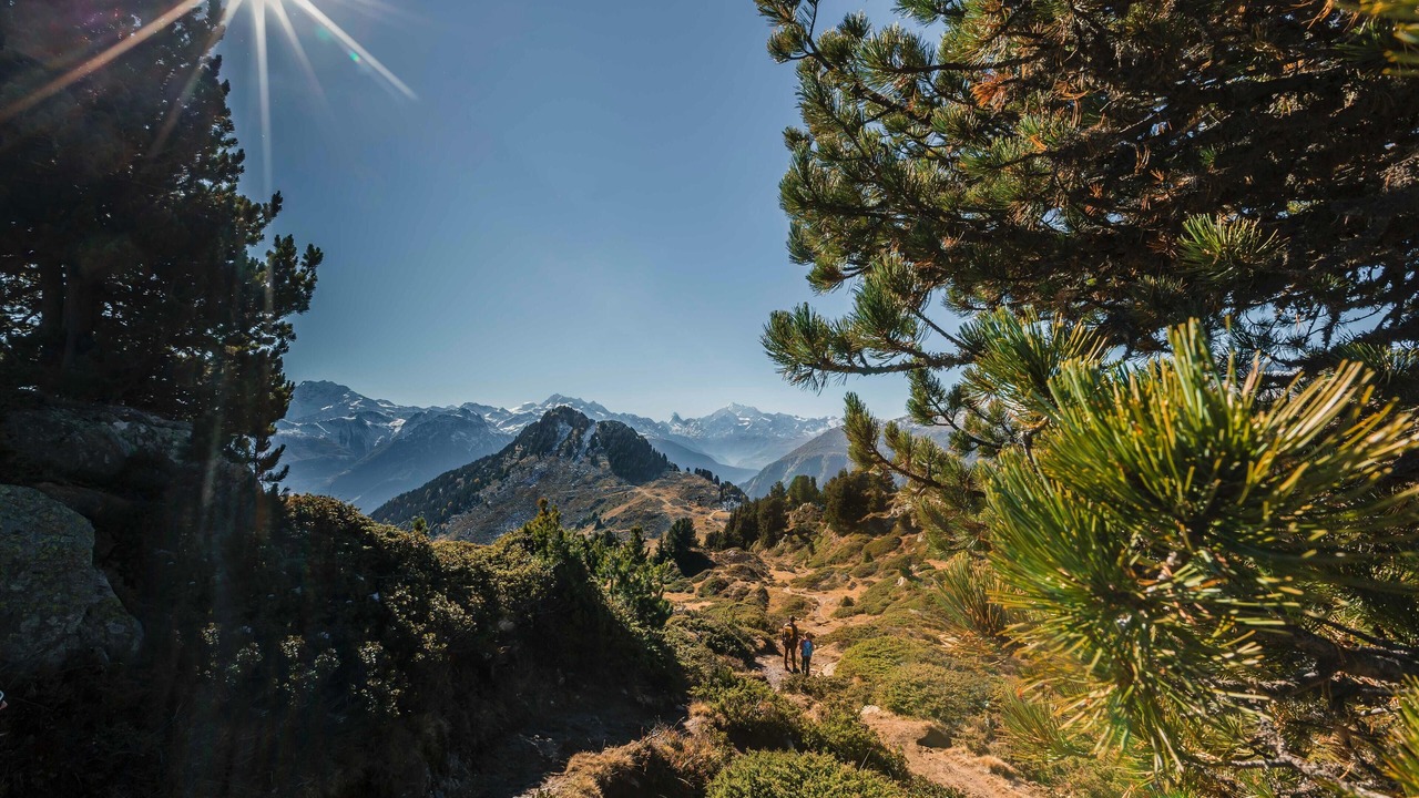 Photo of Others in Fiesch