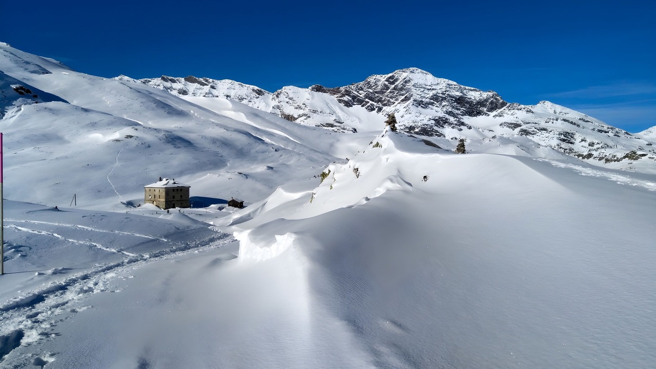Photo of Others in San Bernardino