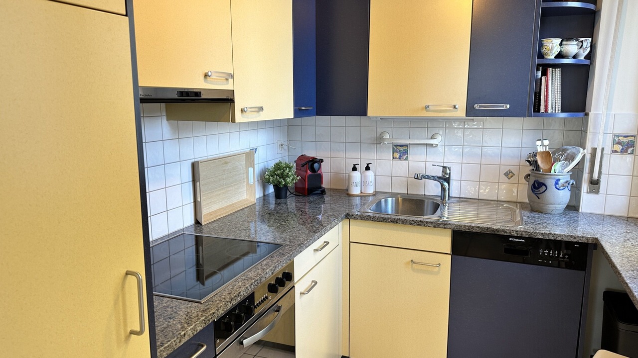 Photo of Kitchen in Minusio