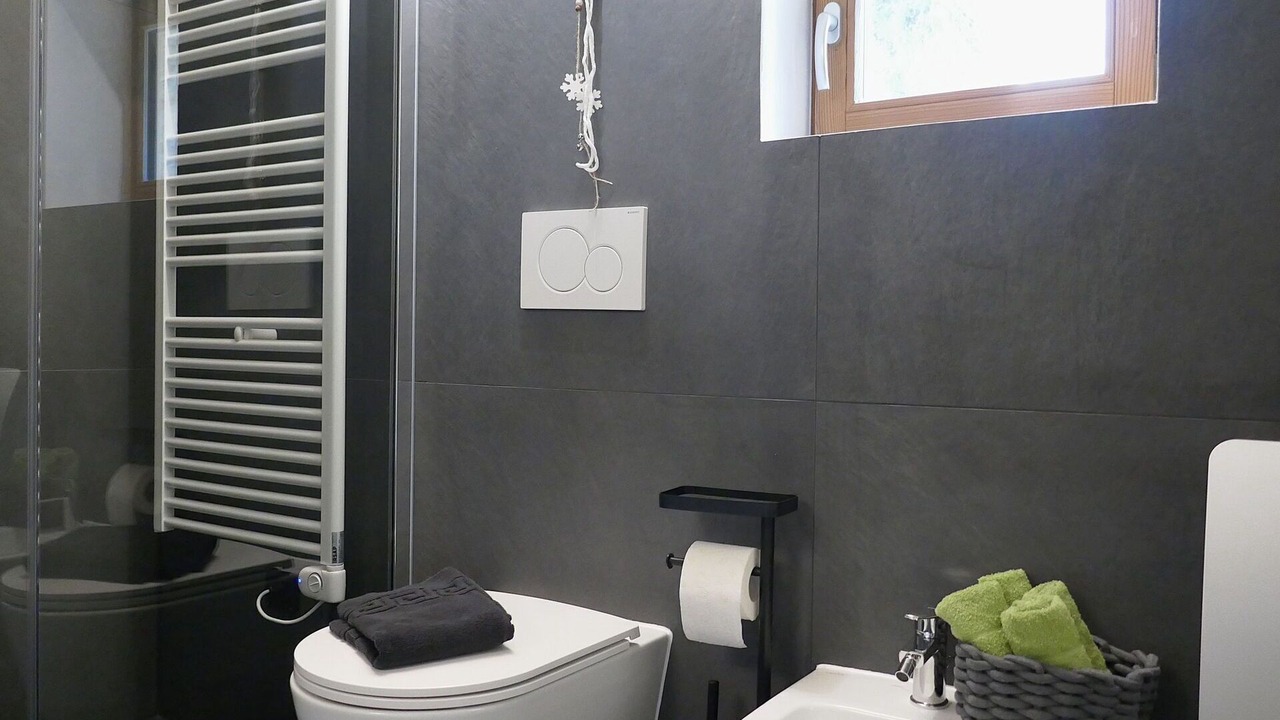 Photo of Bathroom in Mesocco