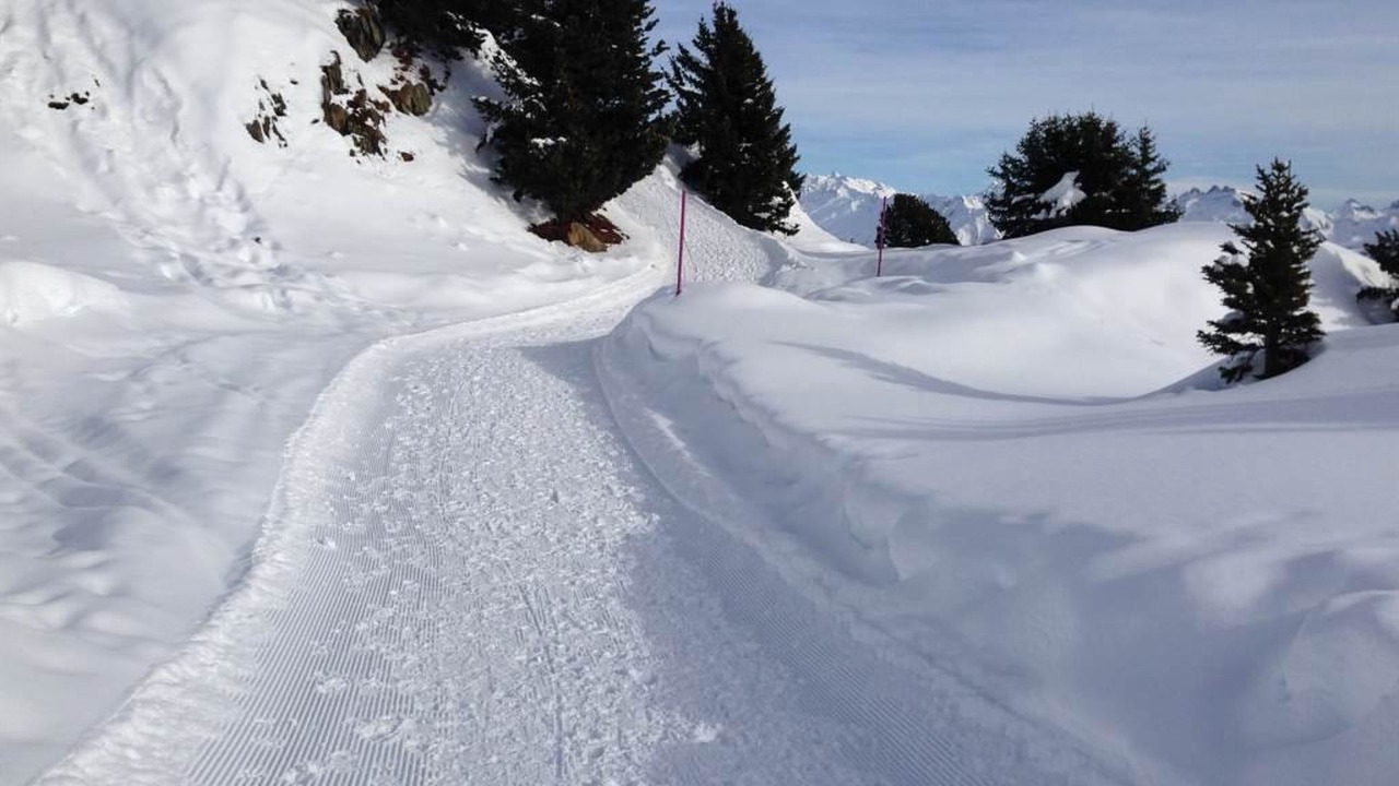 Photo of Others in Riederalp