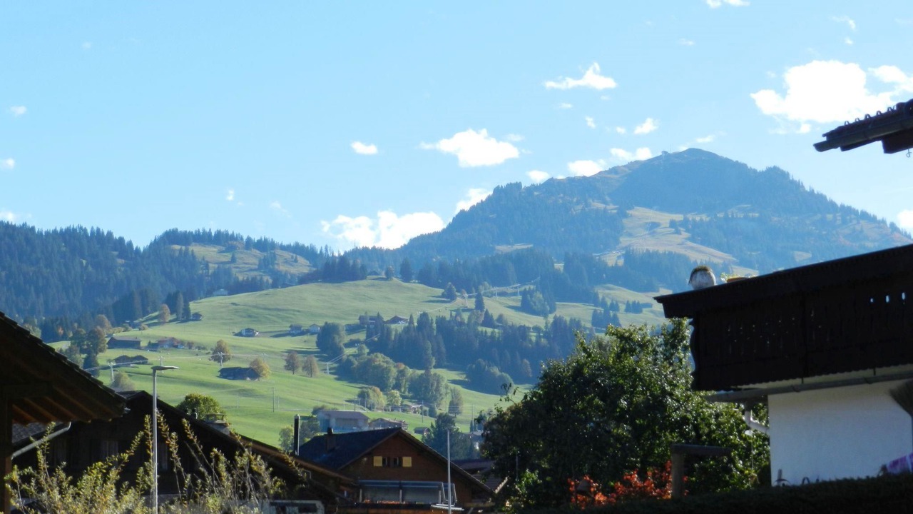 Photo of Others in Zweisimmen