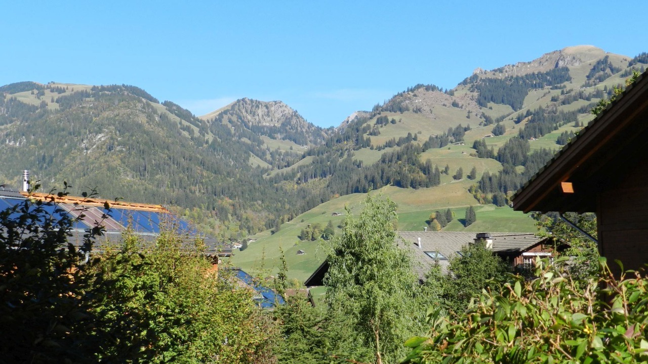 Photo of Others in Zweisimmen
