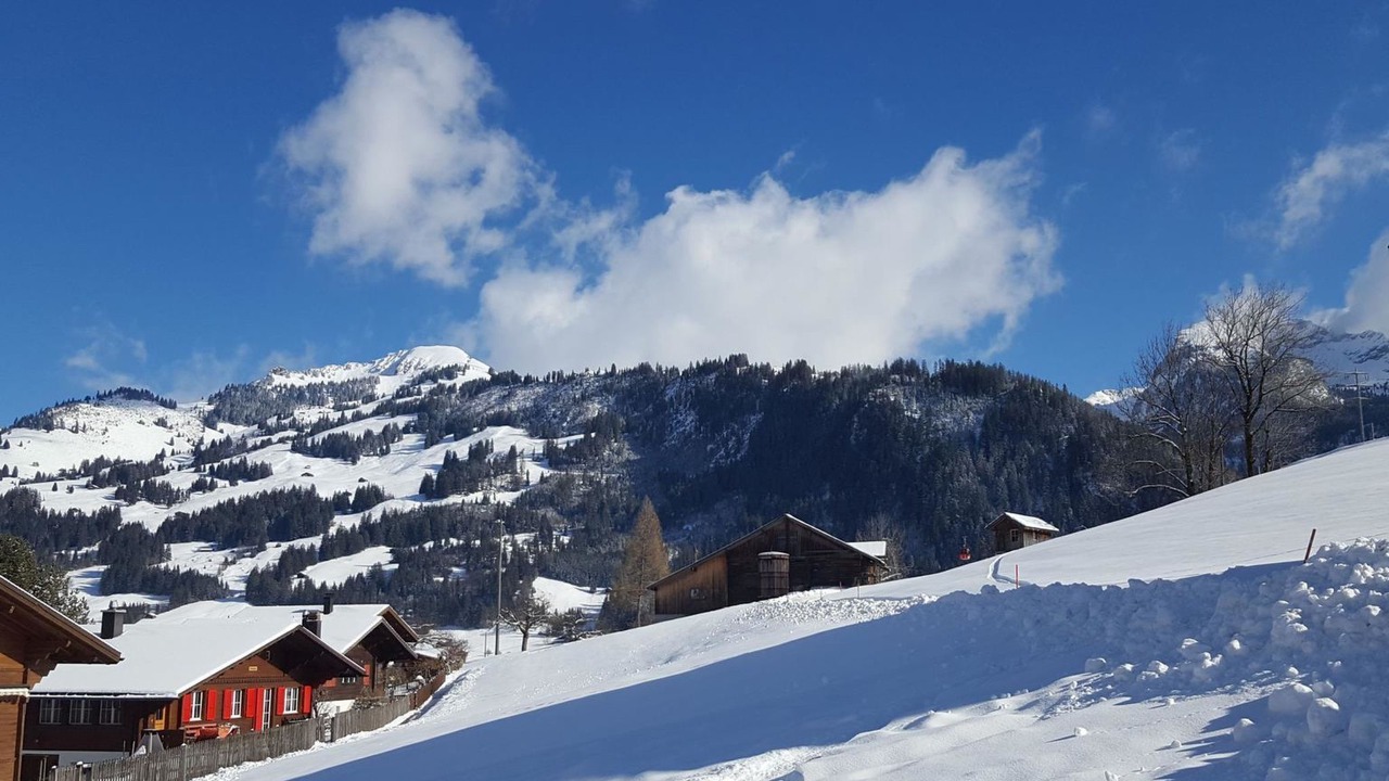 Photo of Others in Zweisimmen