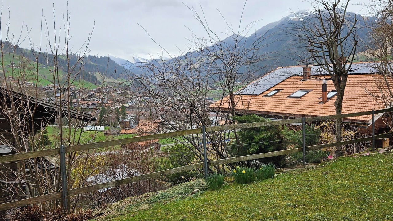 Photo of Others in Zweisimmen