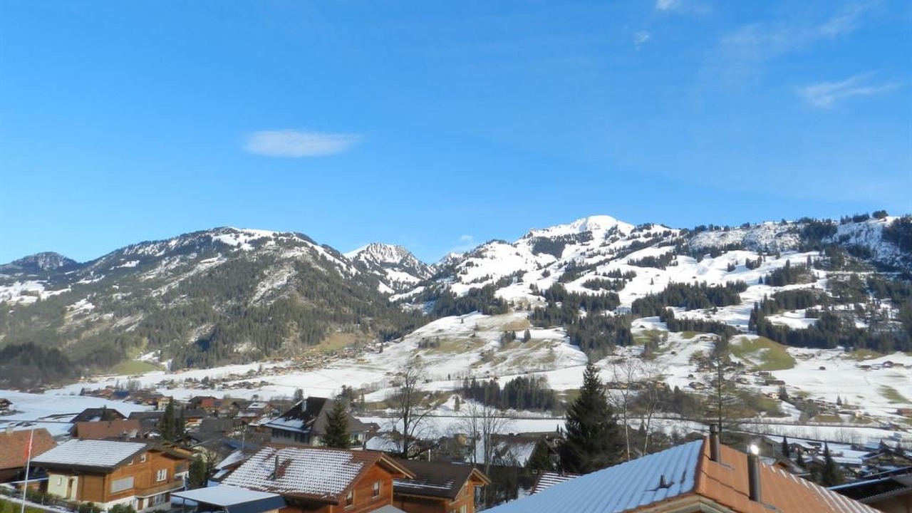 Photo of Others in Zweisimmen