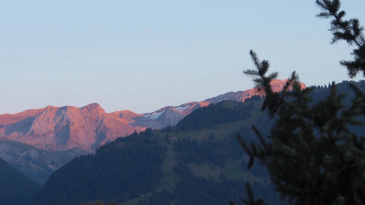 Photo of Others in Saanen