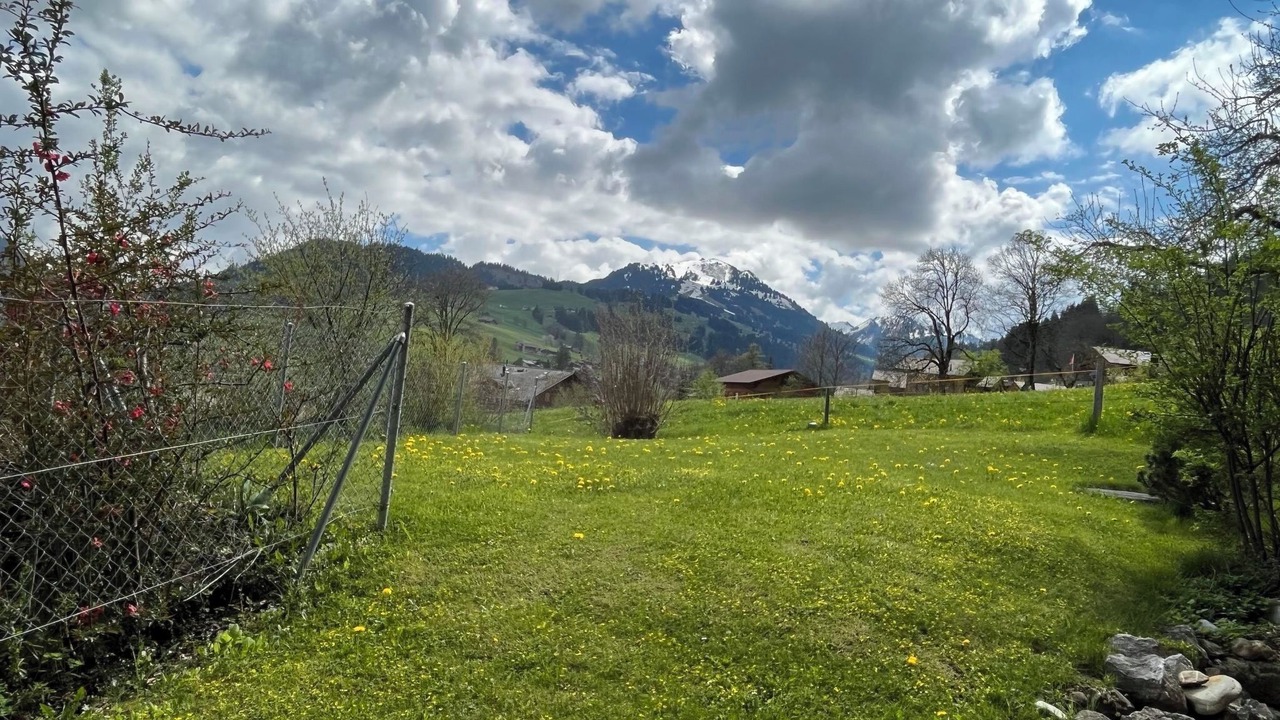 Photo of Others in Zweisimmen