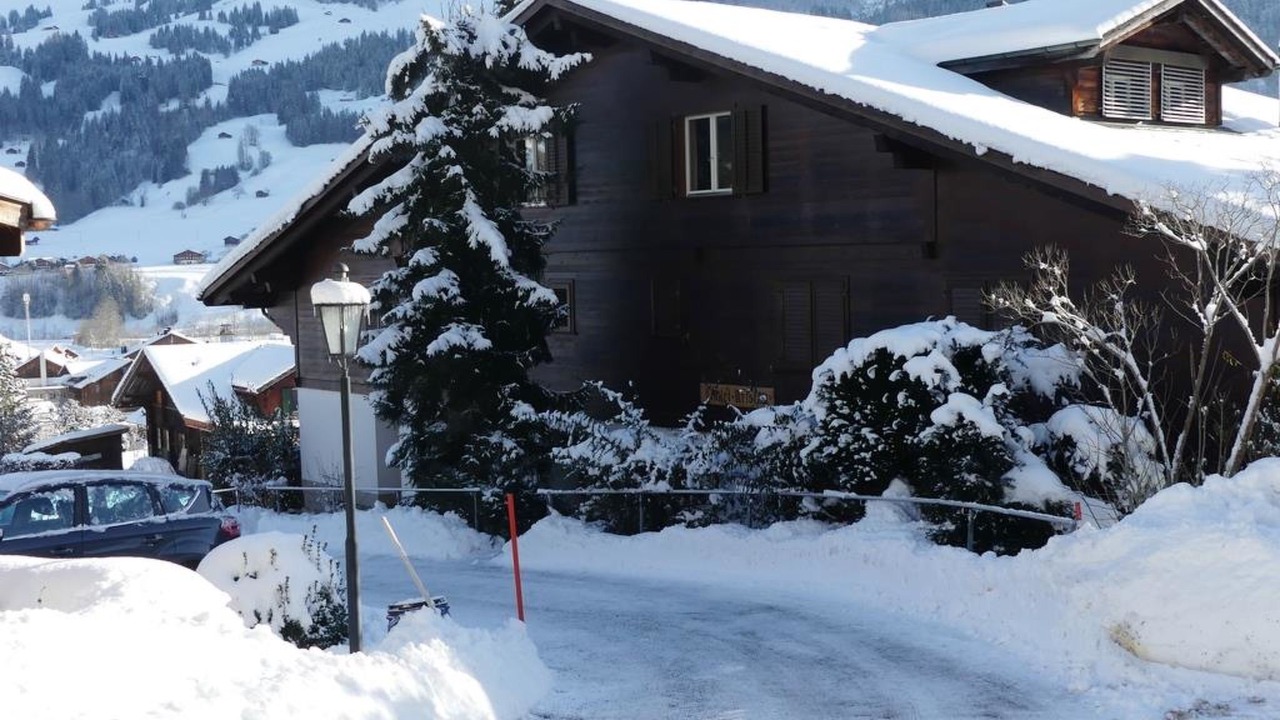 Photo of Others in Zweisimmen