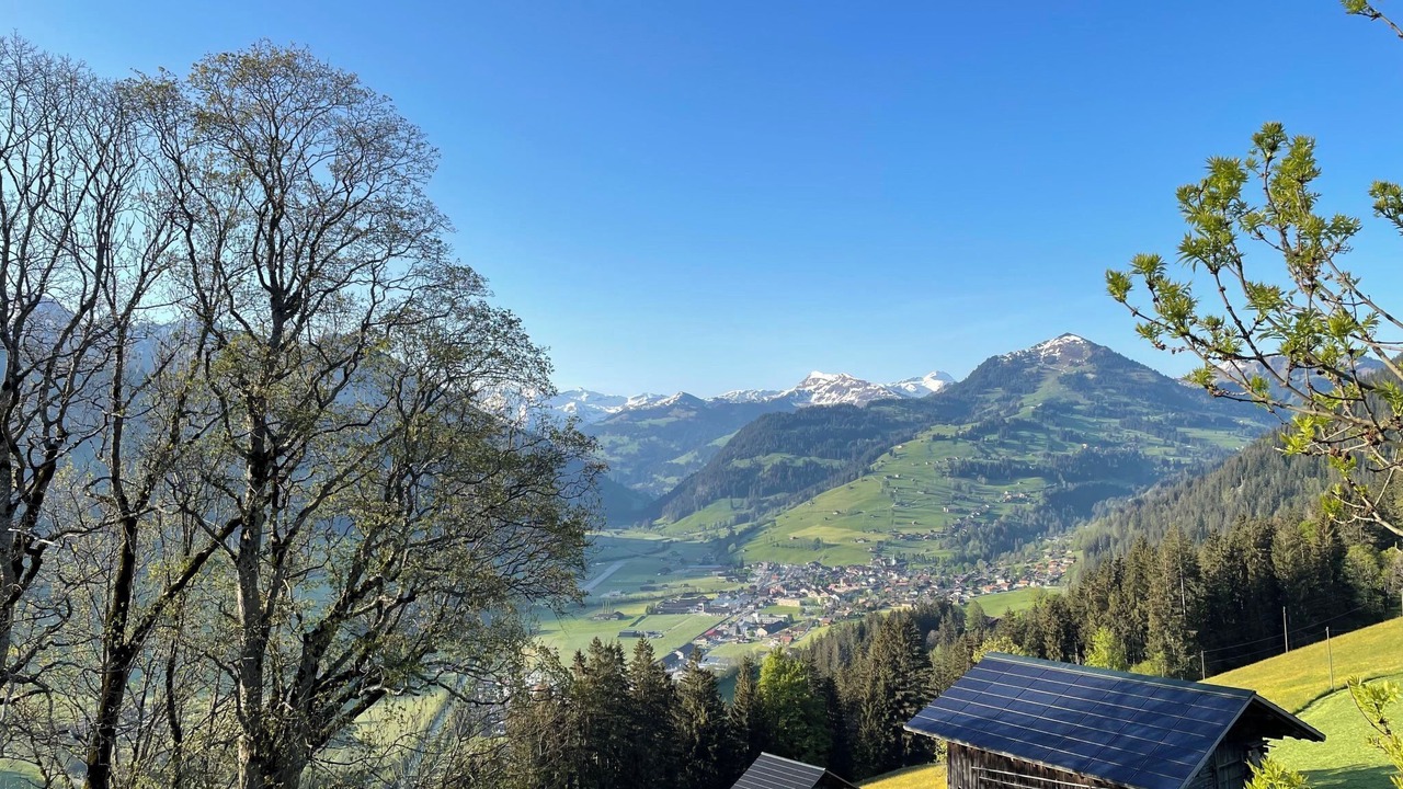 Photo of Others in Zweisimmen