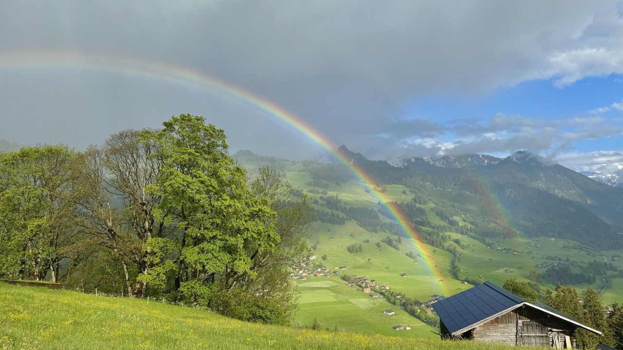 Photo of Others in Zweisimmen