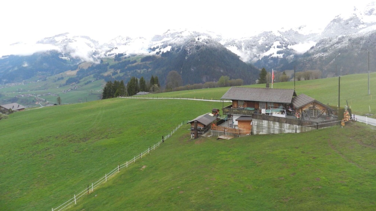 Photo of Others in Oeschseite