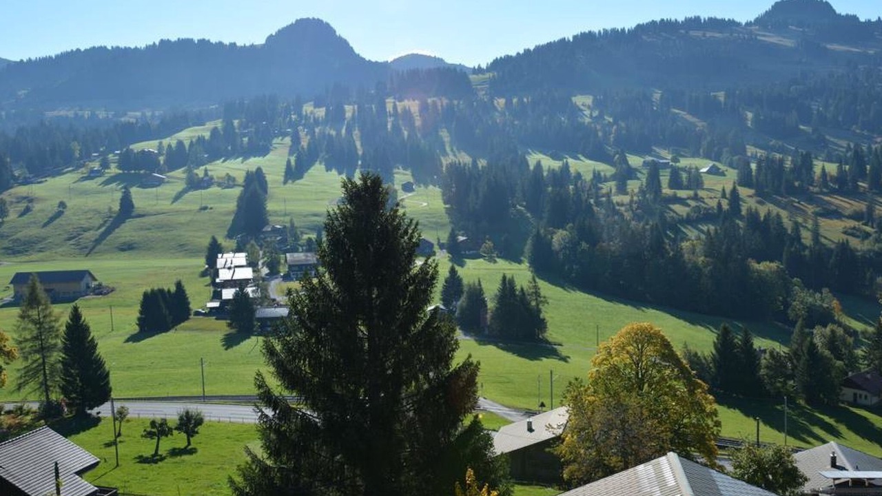 Photo of Others in Saanenmoeser