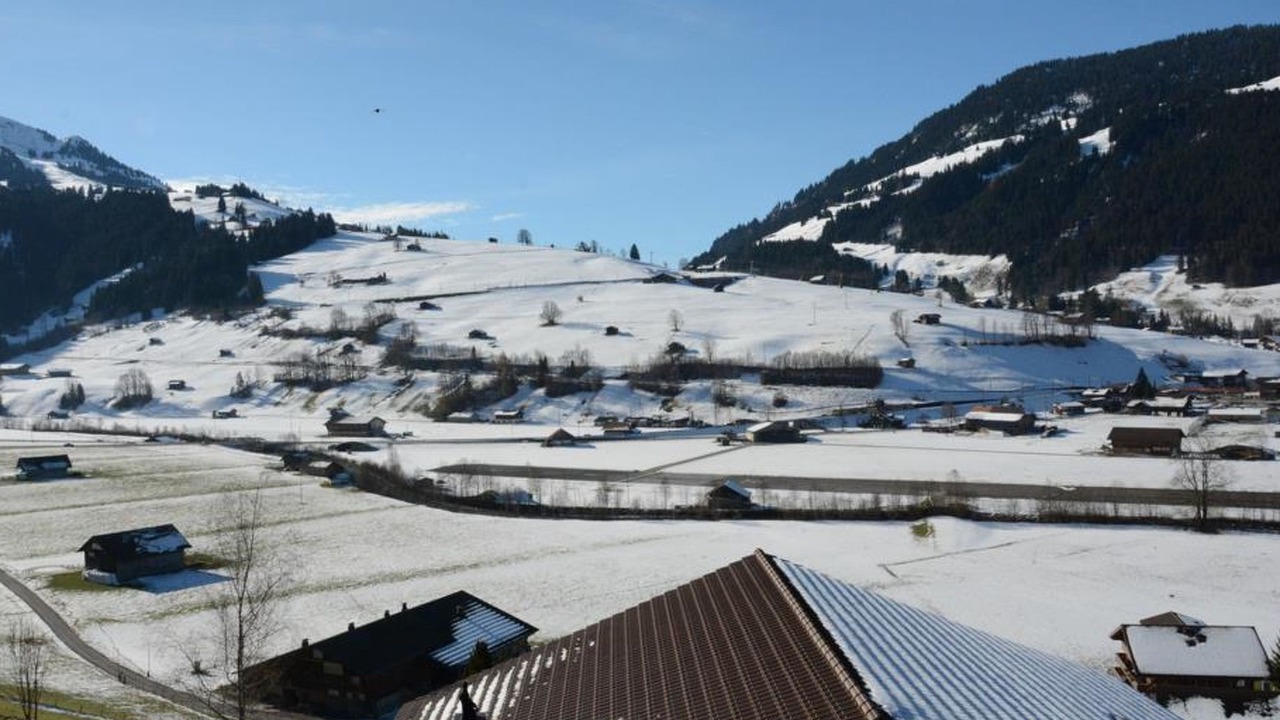 Photo of Others in Zweisimmen