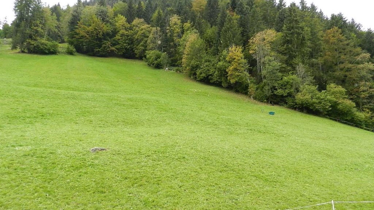 Photo of Others in Saanen