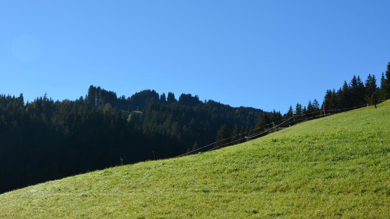 Photo of Others in Saanen