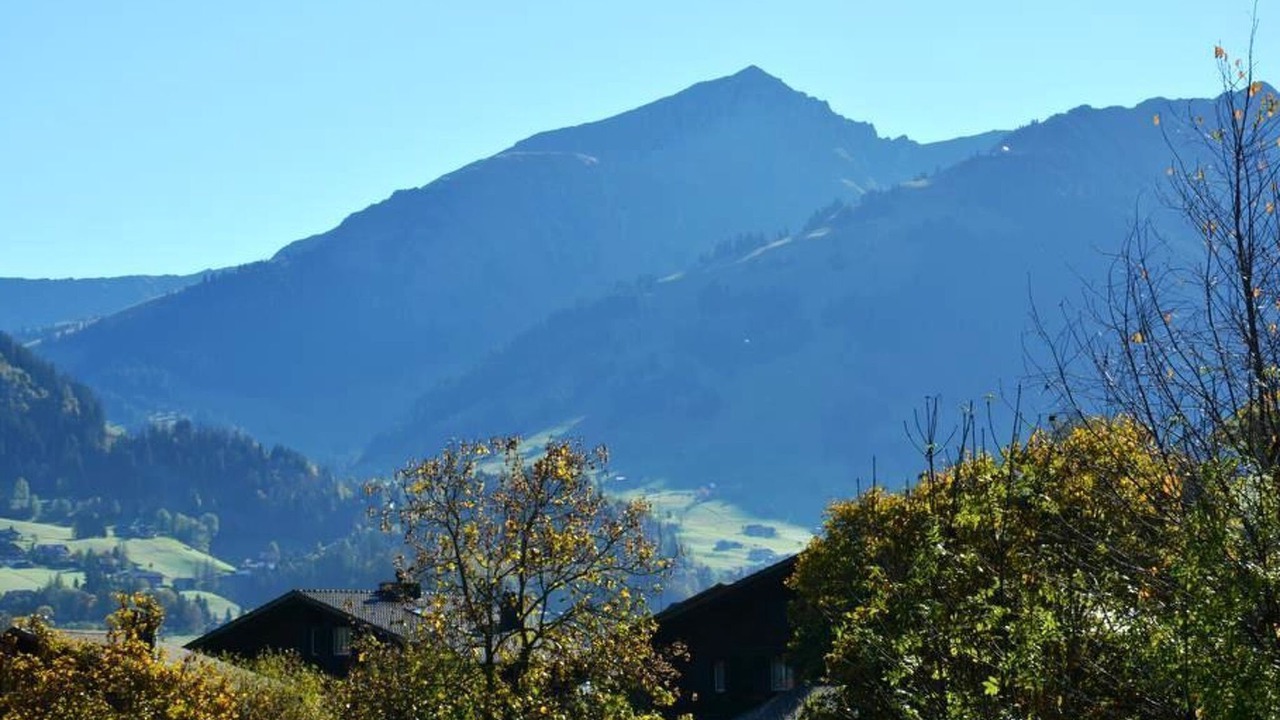 Photo of Others in Saanen