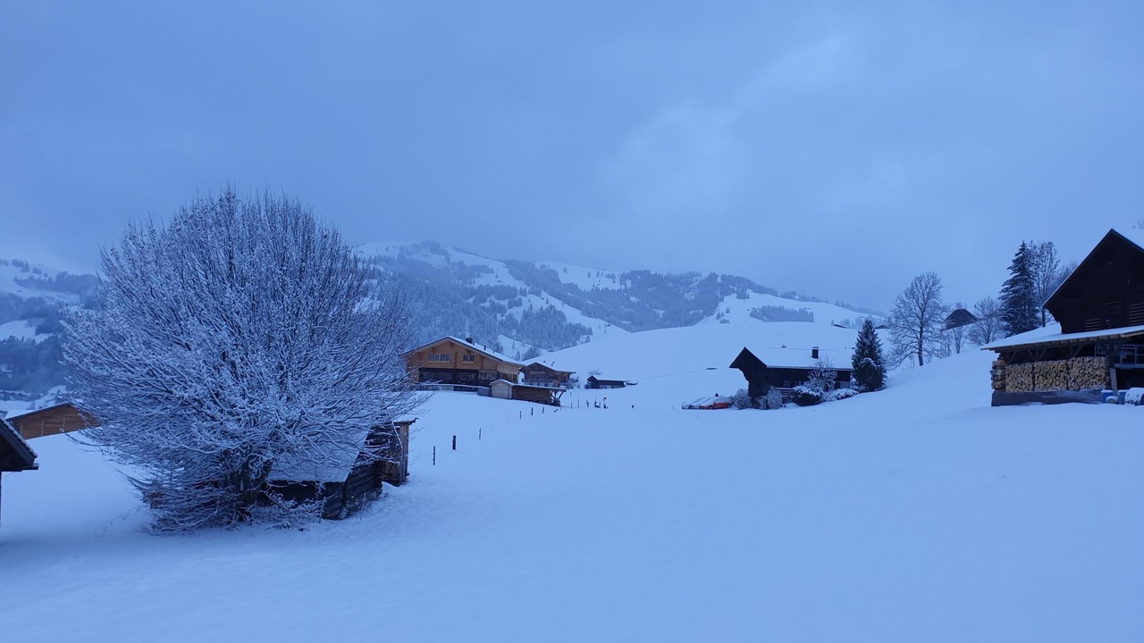 Photo of Others in Saanen