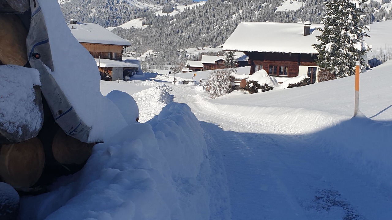 Photo of Others in Saanen
