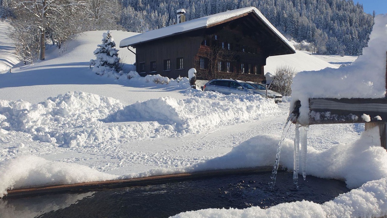 Photo of Others in Saanen