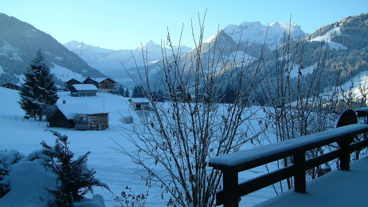 Photo of Others in Saanen
