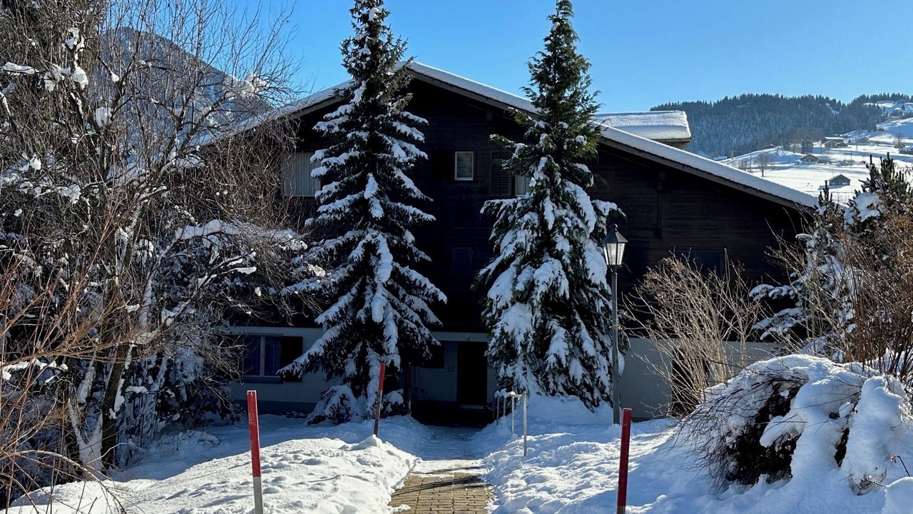 Photo of Others in Zweisimmen
