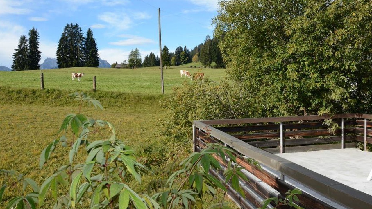 Photo of Others in Saanenmoeser