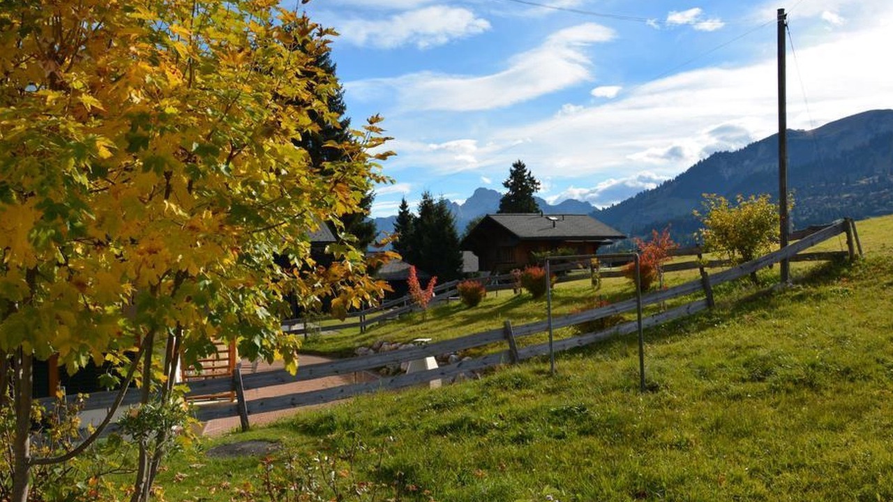 Photo of Others in Saanenmoeser