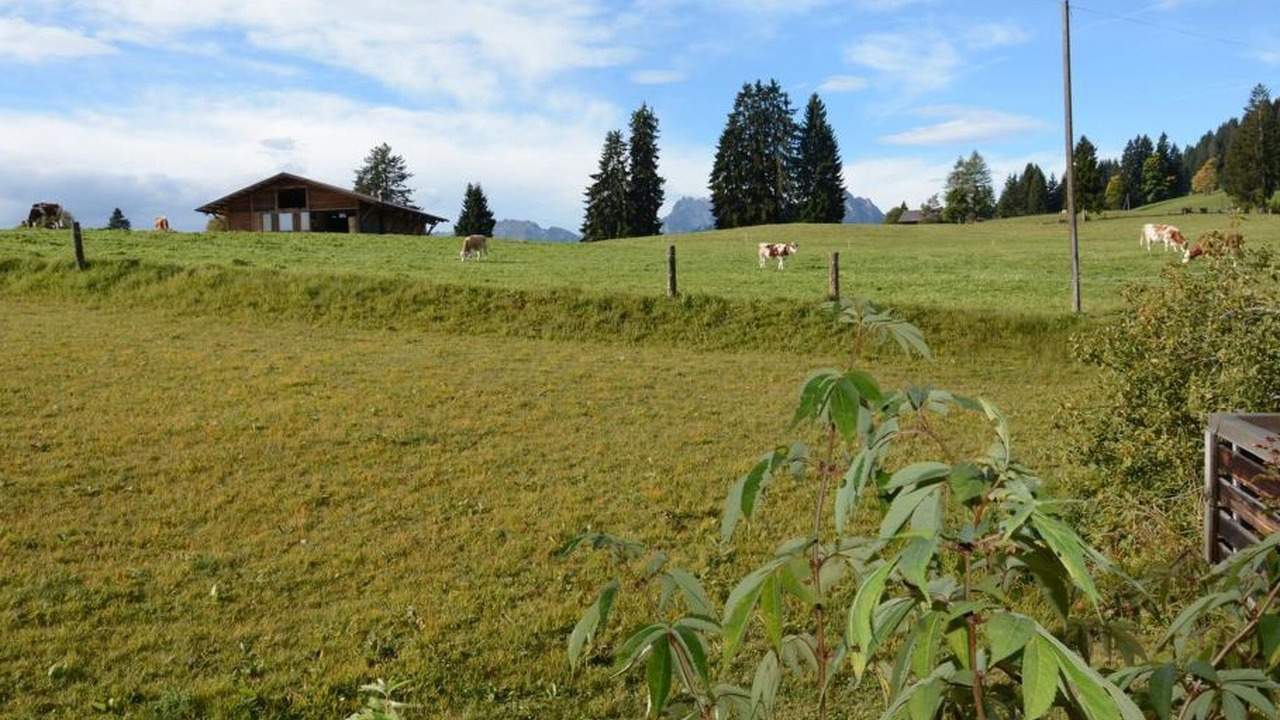 Photo of Others in Saanenmoeser