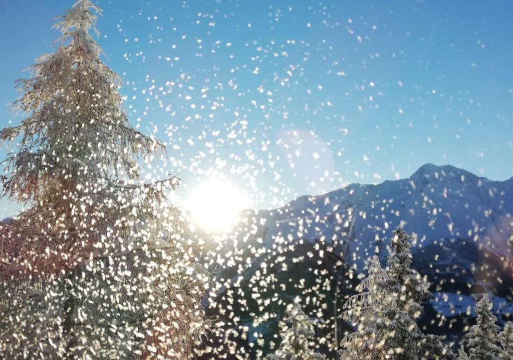 Photo of Others in Riederalp