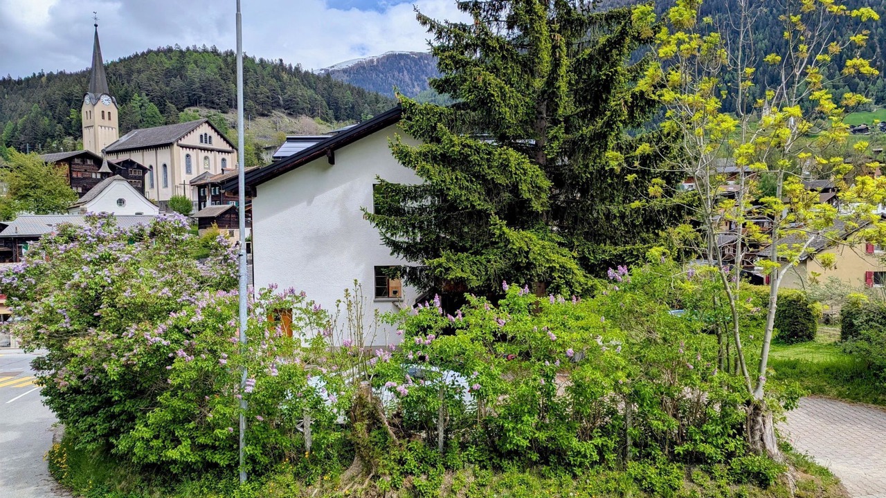 Photo of Others in Fiesch